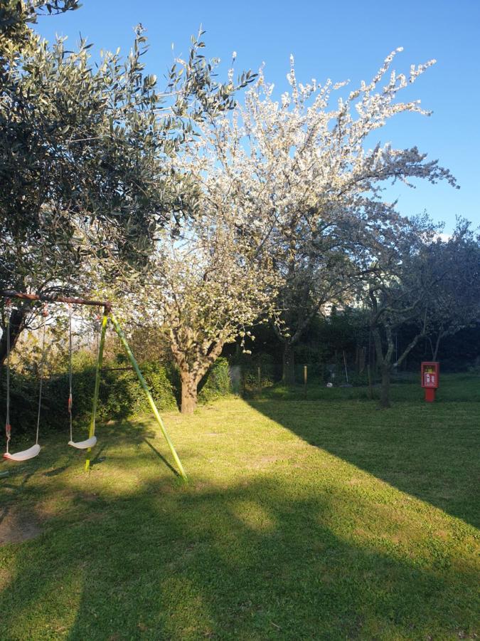Alloggio Turistico Montefiascone Eksteriør bilde